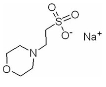 CAS 71119-23-8 MES-NA 2-(N-Morpholino)Ethanesulfonic 산성의 나트륨 염