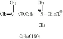 CAS 2867-47-2 DMC 메타크릴로일 옥시에틸 트리메틸암모늄클로라이드